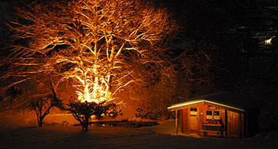 Winterangebot Willingen